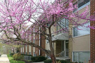 Village at Gaithersburg in Gaithersburg, MD - Foto de edificio - Building Photo