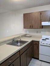 1001 Abada Ct NE in Palm Bay, FL - Building Photo - Building Photo