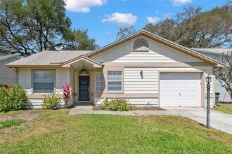 1463 Brier Ct in Palm Harbor, FL - Building Photo - Building Photo