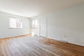 1014 N Raleigh St in Denver, CO - Building Photo - Building Photo