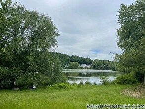 22 Lake Shore Terrace in Boston, MA - Building Photo - Building Photo