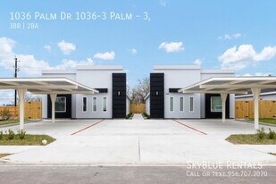 1036 Palm Dr in Alamo, TX - Building Photo