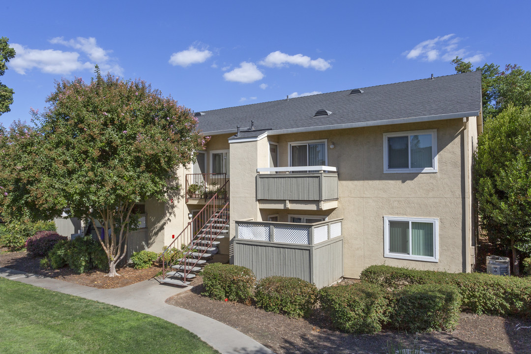 Live Oak Apartments in Modesto, CA - Foto de edificio