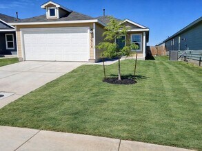 5910 Antonio Pl in Seguin, TX - Building Photo - Building Photo