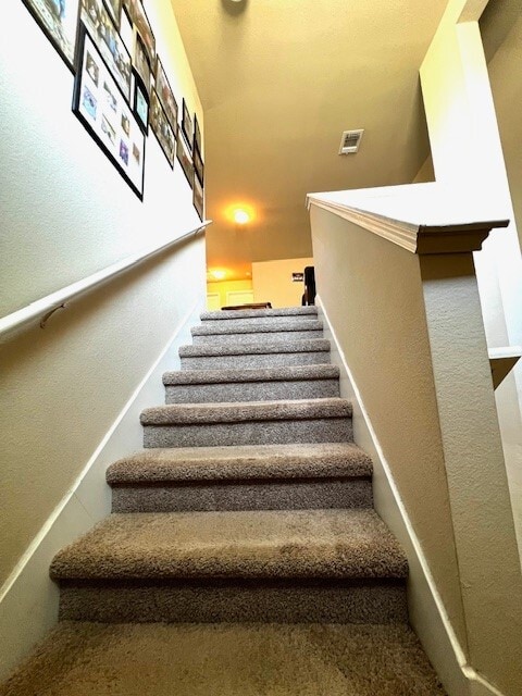 property at 223 Camellia Dr