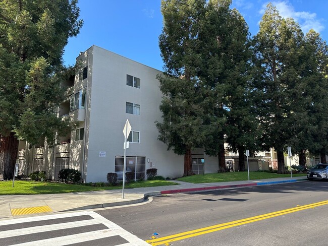 3173 Wayside Plaza in Walnut Creek, CA - Building Photo - Building Photo