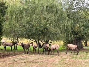 7728 Alpine Ln in Sedro Woolley, WA - Foto de edificio - Building Photo