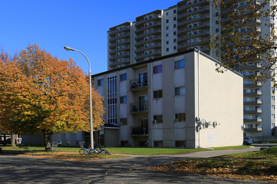 21 Balfour Cres in Kitchener, ON - Building Photo