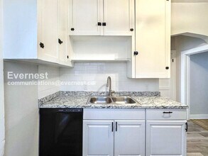 1147 N Marion St in Denver, CO - Building Photo - Building Photo