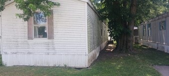 200 N Pine St in Pana, IL - Building Photo