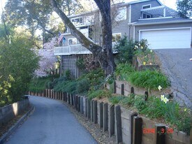 1 Terrace Way in Felton, CA - Building Photo