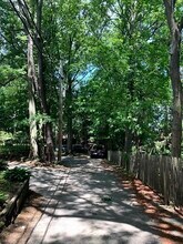 29 Addington Rd, Unit 2 in Brookline, MA - Building Photo - Building Photo