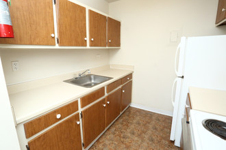 Camelot Apartments in Ypsilanti, MI - Building Photo - Interior Photo