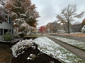 1009 S Kinney Ave in Mt. Pleasant, MI - Foto de edificio - Building Photo