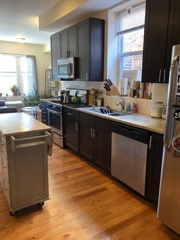 1448 N Leavitt St, Unit 1F