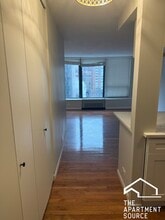 1313 N Ritchie Ct in Chicago, IL - Building Photo - Building Photo