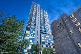 303 W Ohio St in Chicago, IL - Building Photo