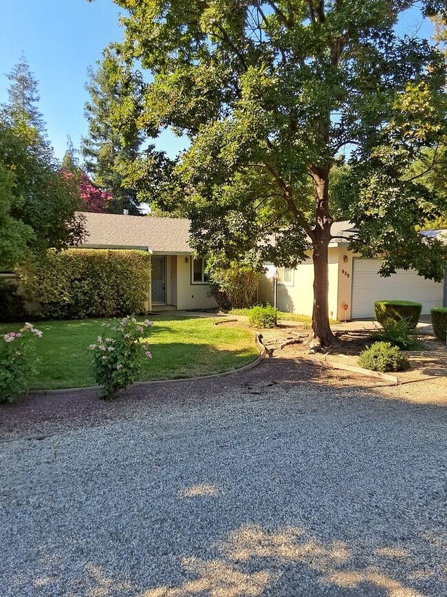 938 W 12th Ave in Chico, CA - Building Photo - Building Photo