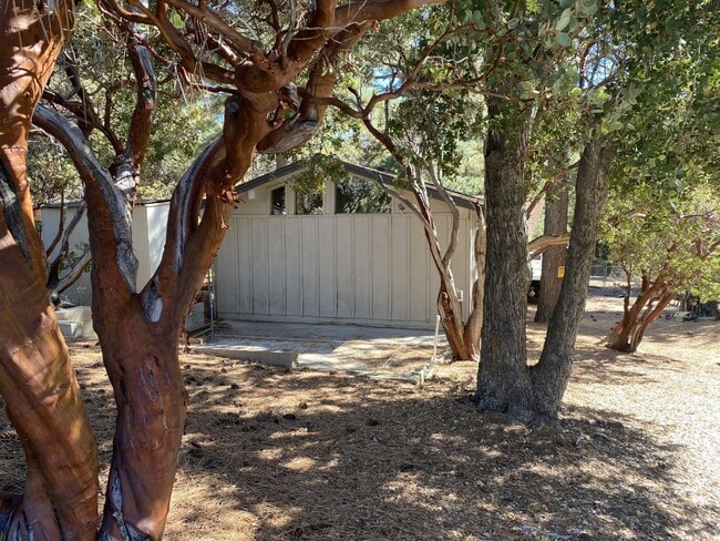 25300 Marion Ridge Dr in Idyllwild, CA - Building Photo - Building Photo