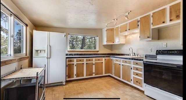 77 Catamount Ln in Bailey, CO - Building Photo - Building Photo