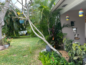 3050 SW 47th St in Fort Lauderdale, FL - Building Photo - Building Photo