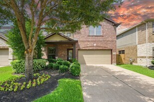 27154 Harvest Pointe Ln in Katy, TX - Building Photo