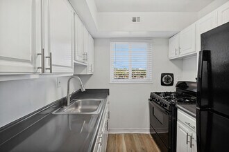 ReNew Alexandria in Alexandria, VA - Building Photo - Building Photo