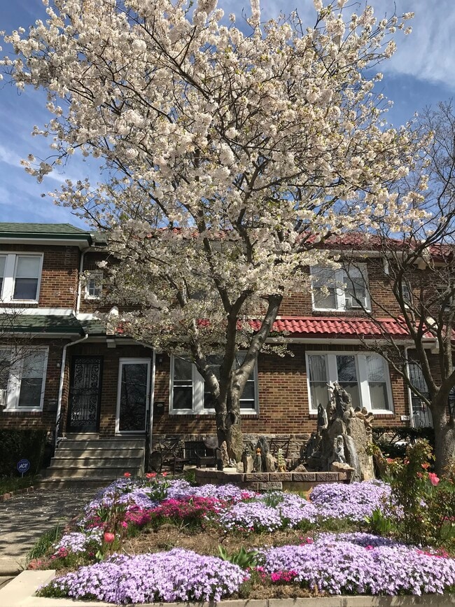property at 257 Chelten Ave