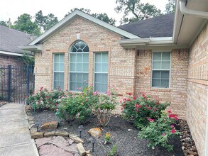 42 W Foxbriar Forest Cir in Spring, TX - Building Photo - Building Photo
