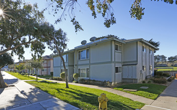 Marina Del Sol Apartments in Marina, CA - Building Photo - Building Photo