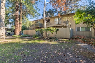 Park Vista Apartments in Pleasant Hill, CA - Building Photo - Building Photo