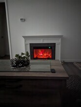 321 Cedar Trl in Madison, FL - Building Photo - Building Photo