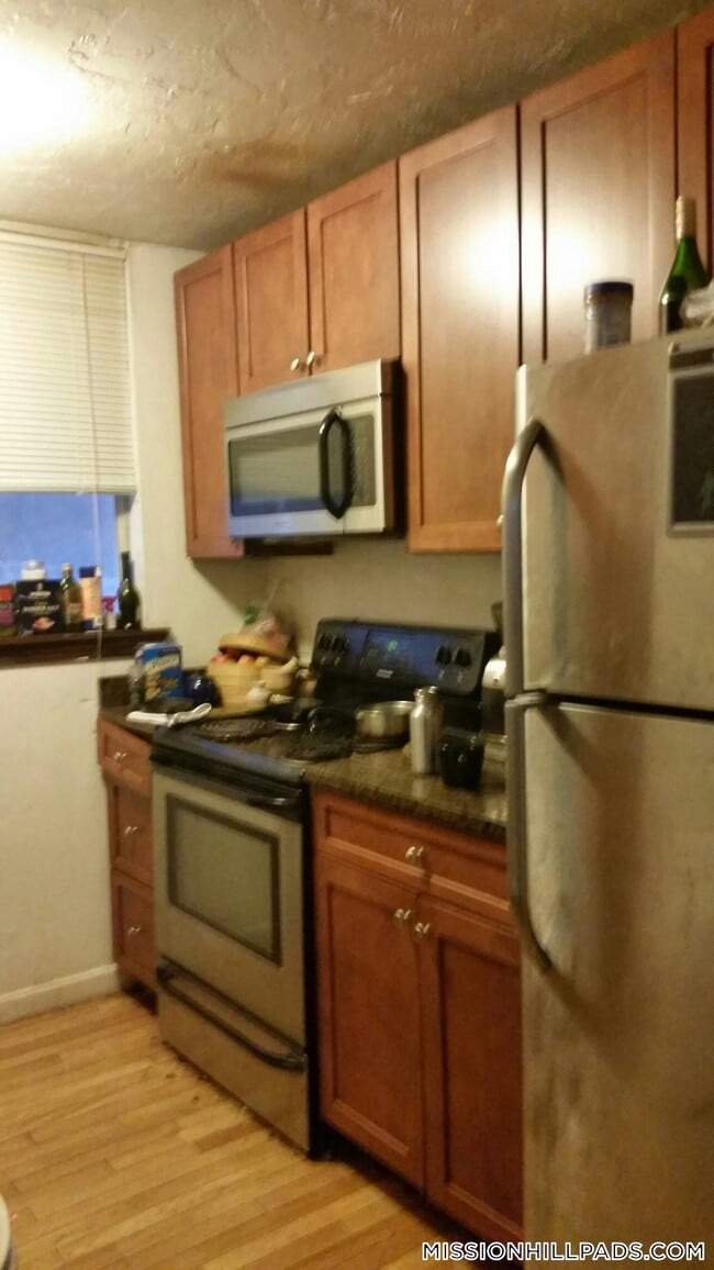 10 Parker Hill Ave, Unit 1 in Boston, MA - Building Photo - Building Photo