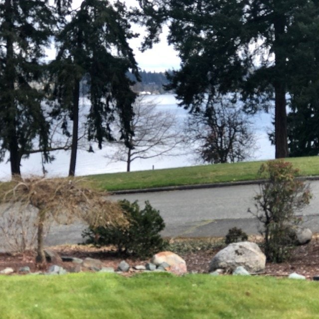 4035 51st Ave S in Seattle, WA - Building Photo - Building Photo