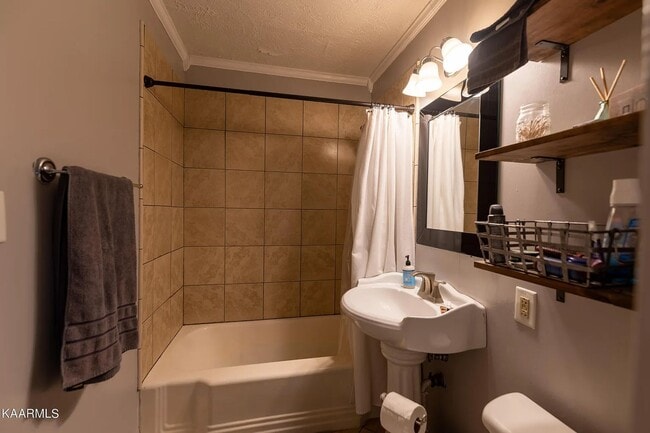 1133 Fair Dr in Knoxville, TN - Building Photo - Building Photo