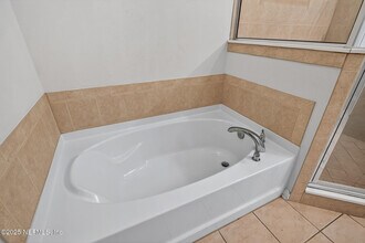 3880 Buckthorne Dr in Orange Park, FL - Building Photo - Building Photo