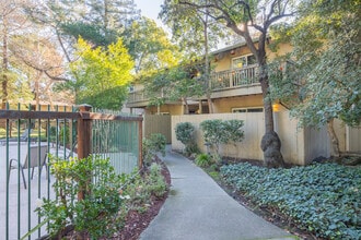 Park Vista Apartments in Pleasant Hill, CA - Building Photo - Building Photo