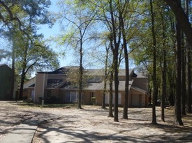 PINE VILLAGE NORTH in Houston, TX - Foto de edificio - Building Photo