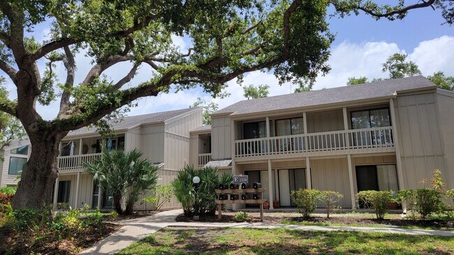 2224 Bahia Vista St in Sarasota, FL - Building Photo - Building Photo