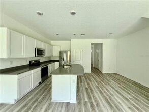 11406 Velvet Apricot Dr in Land O Lakes, FL - Building Photo - Building Photo