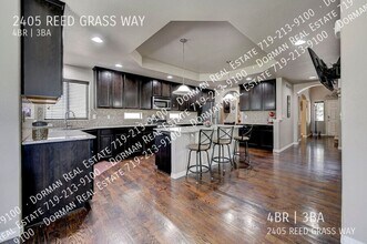 2405 Reed Grass Way in Colorado Springs, CO - Building Photo - Building Photo