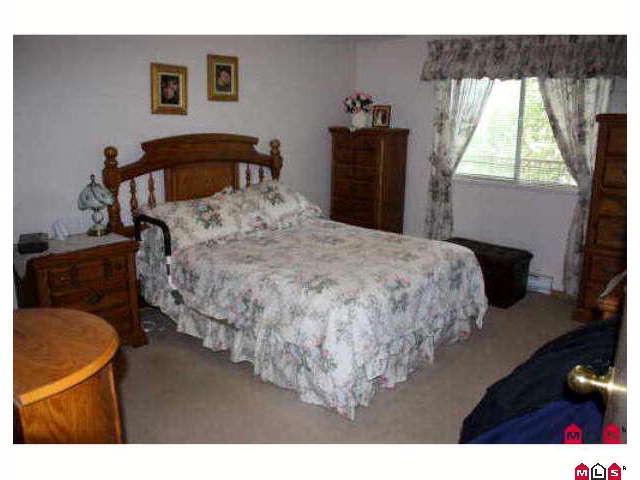 7694-7694 Evans Rd in Chilliwack, BC - Building Photo - Building Photo