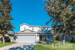 11205 Running Pine Dr in Riverview, FL - Building Photo