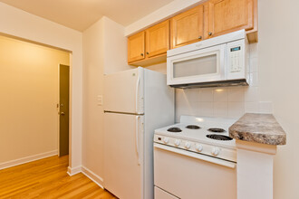 Catalpa Vista Apartments in Chicago, IL - Building Photo - Building Photo