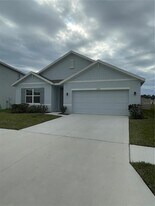 33724 Jasmine Star Lp in Wesley Chapel, FL - Building Photo