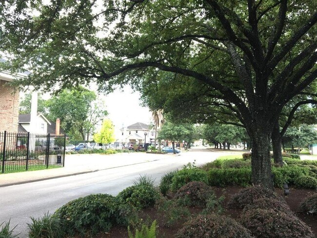 2507 Montrose Blvd in Houston, TX - Building Photo - Building Photo