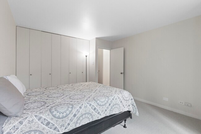 211 E Ohio St, Unit #717 in Chicago, IL - Building Photo - Building Photo