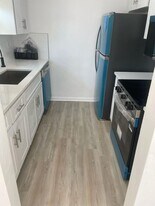 1424 Spring Ln in Clearwater, FL - Building Photo