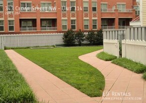 343 Cedar St NW in Washington, DC - Building Photo