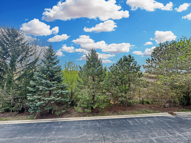 161 Station Park Cir in Grayslake, IL - Building Photo - Building Photo